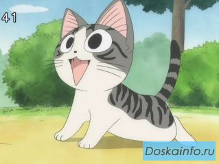 Отдам котят