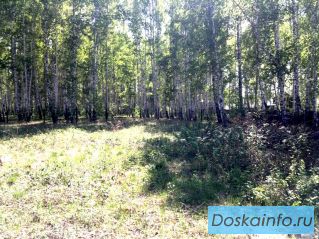 Участок 15 сот. СНТ 'Урал' Кременкуль 40т.р.