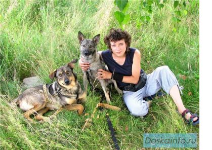 Спича и Синий - добрые собаки.