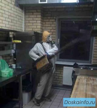 Уничтожение постельных клопов в мытищах
