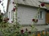 Уменьшенная картинка