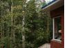 Уменьшенная картинка
