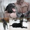 Уменьшенная картинка