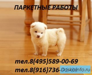Шлифовка паркета цена