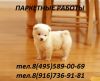 Уменьшенная картинка