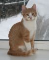 Уменьшенная картинка