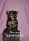 Уменьшенная картинка