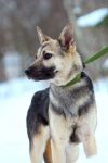 Уменьшенная картинка