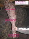 Уменьшенная картинка