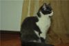 Уменьшенная картинка