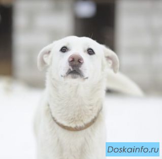 С Белым вам не страшна гиподинамия!