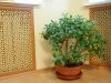 Уменьшенная картинка