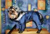 Уменьшенная картинка