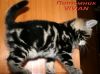 Уменьшенная картинка