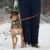 Уменьшенная картинка