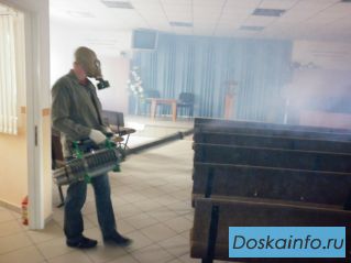 Уничтожение клопов, короеда, клещей в Подольске и Подольском районе