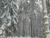 Уменьшенная картинка