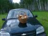 Уменьшенная картинка