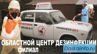 Уничтожение короеда, точильщика, муравьев, чешуйниц, клопов, блох, тараканов в Подольске, Чехове.