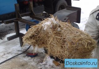 Дробилка для щепы