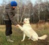 Уменьшенная картинка