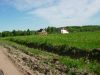 Уменьшенная картинка