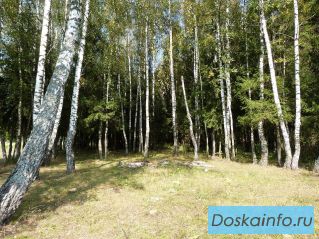 Продам участок 7 соток в 36 км. от МКАД