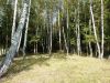 Уменьшенная картинка