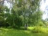 Уменьшенная картинка