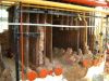 Продаем водогрейные котлы НР-18 для котельных