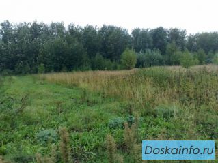 Продам земельный участок